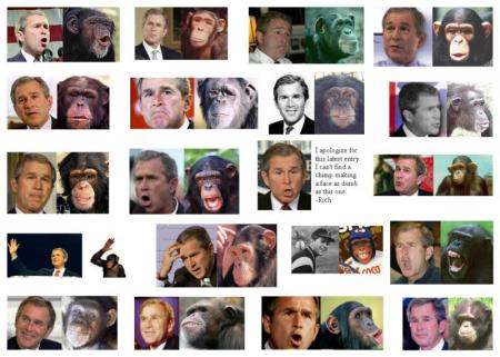 CREATION OU EVOLUTION  ?